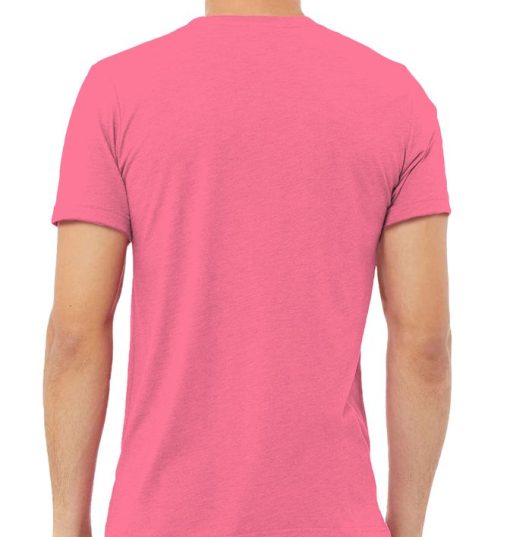 Bella + Canvas Tri-Blend T-Shirt