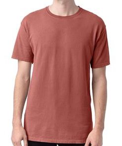 Hanes ComfortWash 100% Ringspun Cotton T-Shirt