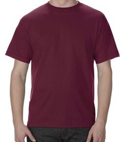 Alstyle 6.0 oz., 100% Cotton T-Shirt