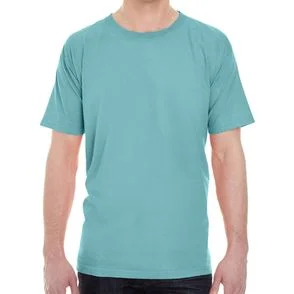 Comfort Colors Lightweight T-Shirt
