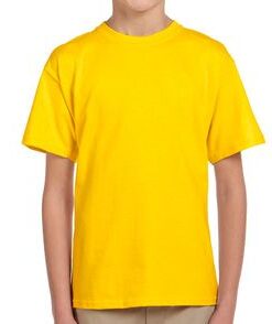 Gildan Kids Ultra Cotton T-Shirt